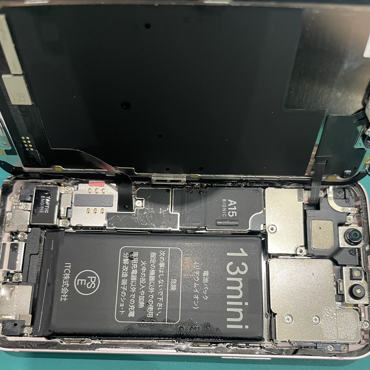 【iPhone 13 mini 水没】水に落とした…まだ諦めないで！